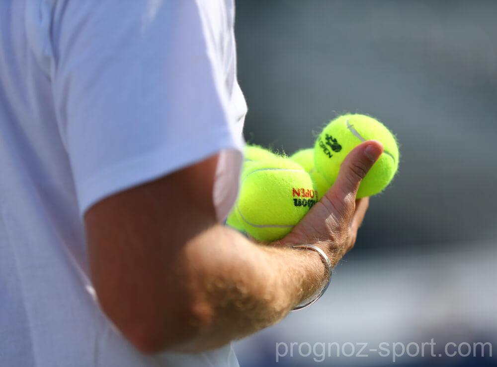 Марин Чилич — Григор Димитров  Australian Open открыт!