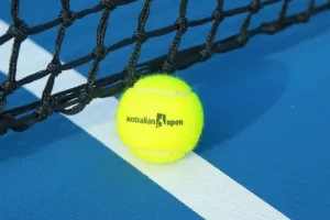 Фиона Ферро — Элина Свитолина: следим за Australian open!