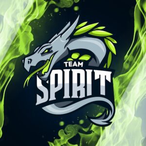 Tricked eSport — Team Spirit: прямая видеотрансляция, смотреть онлайн 08.02.2022