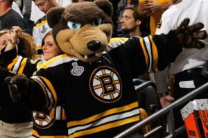 «Бостон» — «Аризона»: сила медведей против псов!