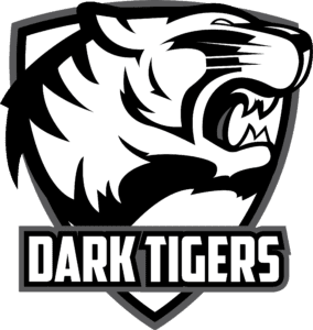 Dark Tigers — Infinite Gaming: прямая видеотрансляция, смотреть онлайн 22.02.2022