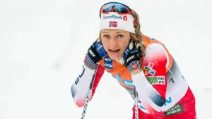 лыжные гонки женщины Кубок мира