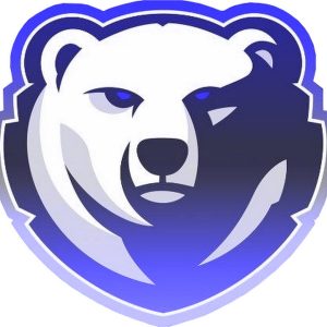 Polar Beeeers — SC E-Sports: прямая видеотрансляция, смотреть онлайн 14.03.2022