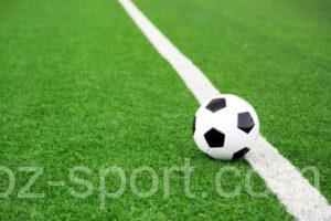 Спартак Кострома – Родина: прямая видеотрансляция, смотреть онлайн 16.11.2025