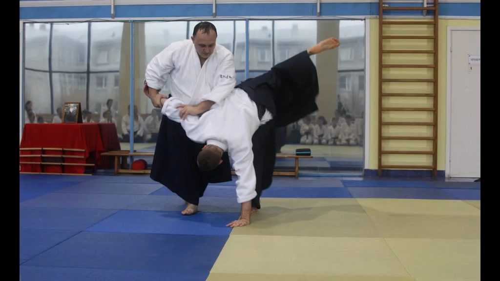 Виды единоборства и их особенности