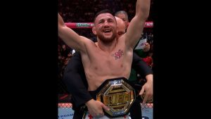 Мераб Двалишвили ММА